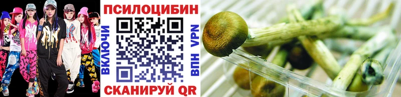 Псилоцибиновые грибы MAGIC MUSHROOMS  Долгопрудный 