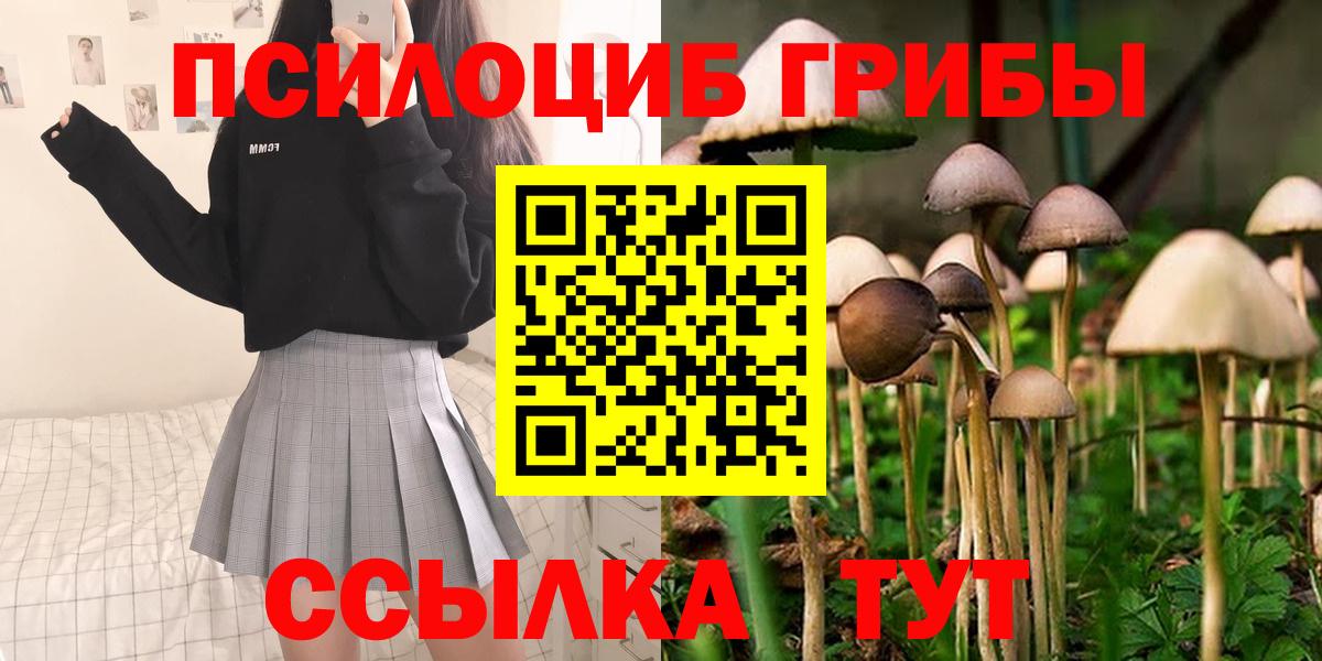 Галлюциногенные грибы MAGIC MUSHROOMS Долгопрудный