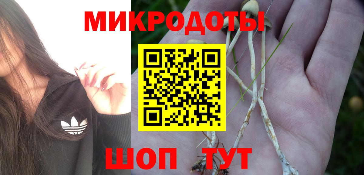 Псилоцибиновые грибы ЛСД  Псилоцибиновые грибы прущие грибы  Долгопрудный  Вход с VPN 